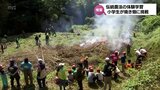 伝統農法「焼き畑」 椎葉村で小学生が体験学習|TBS NEWS DIG