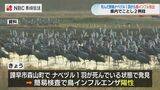 【長崎県】死んだ野鳥から鳥インフル簡易検査で陽性2例目 | 長崎のニュース | 天気 | NBC長崎放送