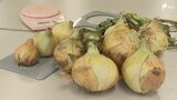 「大きさは例年以上」生でも食べやすいタマネギ 目ぞろえ会で生産者が"基準"を確認=静岡・沼津市 | 静岡のニュース | SBSNEWS | 静岡放送