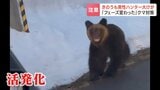 “住民が被弾するおそれない”など要件満たせば住宅街で発砲可能に…変わるクマ対策 専門家「評価できる変更」道内で相次ぐ“熊嵐”21年札幌・東区で4人負傷 | 北海道のニュース|HBC北海道放送