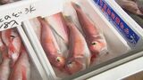 「サンマ」久しぶりの豊漁の一方、島根の魚は「夏枯れ」そのワケは「魚が好む水温帯から大きく外れております」|TBS NEWS DIG
