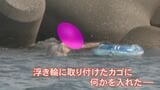 【検挙の瞬間】カキやサザエ約17キロを“密漁” 金沢海上保安部のパトロールに密着取材 軽装で素潜りする男性の手元には…　|　石川県のニュース｜MRO北陸放送