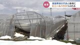 雪の重みでビニールハウスが…　最強寒波の爪あと各地て　県内の農業関係の被害は5件確認　富山　|　富山のニュース｜天気・防災｜チューリップテレビ
