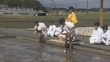 1000年以上続く伝統神事 伊勢神宮に供える米のモミをまく｢神田下種祭｣ 三重･伊勢市|TBS NEWS DIG