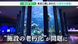 人気者のクマノミとチンアナゴともお別れ　東海大“三保の水族館”の一般公開来春で終了へ　開館から半世紀…進む老朽化にコロナ禍が追い打ち（静岡県）　|　静岡のニュース | SBSNEWS | 静岡放送