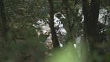 山道の崖下に軽乗用車が転落、84歳女性が死亡 行方不明届を受けて警察が捜索中に発見 三重・御浜町|TBS NEWS DIG