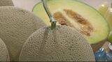 甘くてジューシー 秋作の石川県産アールスメロンが初出荷|TBS NEWS DIG