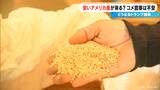 「めちゃめちゃ不安…」農家は悲鳴 例年にないコメ不足に追い打ちをかける“トランプ関税” 安いアメリカ産のコメが来る? | 名古屋・愛知・岐阜・三重のニュース【CBC news】 | CBC web