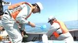 夏の楽しみ“海水浴”！ 安全にシーズンを迎えるため、海水浴場で水質調査（山形）|TBS NEWS DIG