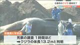 「死因は特定できず」“漂着クジラの死骸”砂浜への埋却処分完了「なるべく近寄らないように」宮城・石巻市　|　宮城のニュース│tbc NEWS│tbc東北放送