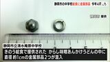 学校給食のうどんに金属部品2つ混入  調理器具から脱落 健康被害は確認されず＝静岡・静岡市|TBS NEWS DIG