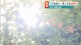 「真夏みたいな感じで9月とは思えない」9月も“猛暑日”で始まる新潟県「16日連続の熱中症警戒アラートは過去最長」|TBS NEWS DIG