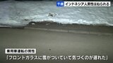「フロントガラスに雪がついていて気付くのが遅れた」乗用車がインドネシア人の20代男性はねる　北海道千歳市|TBS NEWS DIG