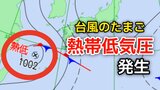 【台風情報】新たな台風のたまご「熱帯低気圧」台湾付近から日本に…1時間に15キロの速さで進む…気象情報に注意【気象庁 天気図】|TBS NEWS DIG