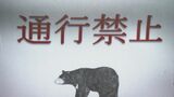 去年1件→ことし19件に激増 県内のクマの目撃情報が過去最多のペース 三重県が注意呼びかけ|TBS NEWS DIG
