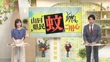 飲酒したら蚊に刺されやすい?刺されやすい都道府県は?蚊を知って快適な夏を | 山口のニュース・天気・防災|tys NEWS|tysテレビ山口