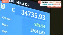 日経平均株価は下落　トランプ関税受け3万4735円で取引終える 前日より989円安　約8か月ぶりの安値水準| TBS CROSS DIG with Bloomberg
