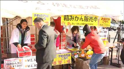 甘みが凝縮してみずみずしい” 姉妹都市 愛媛・宇和島市特産のミカン