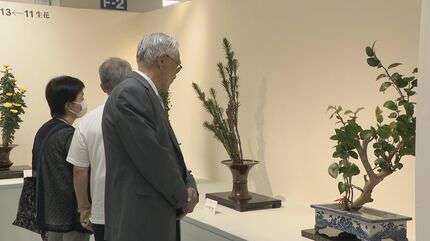 伝統の「松月堂古流いけばな展」はじまる 季節の移ろい 中秋の名月を