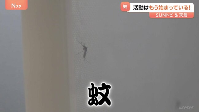夏の天敵『蚊』対策!蚊の発生源対策と刺されないためのポイント【SUNトピ】|TBS NEWS DIG