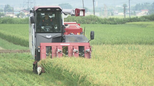 福島県内の主食用米収穫量 昨年度比で約6万トン増加見込み|TBS NEWS DIG