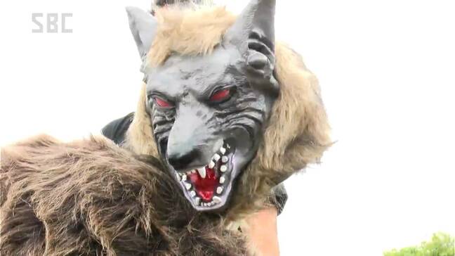 長野県内はドングリが「不作」…クマが人里に出没することが増える懸念も　クマ被害が相次ぐ中、対策は？|TBS NEWS DIG