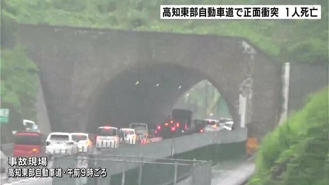 高知東部自動車道で車同士が正面衝突　1人が死亡　現場は片側一車線のセンターライン上にラバーポールが立っている区間|TBS NEWS DIG