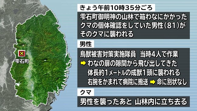 クマの個体を確認しようとした80代男性が襲われけが わなの扉を開けた際に隙間からクマが飛び出す 岩手・雫石町|TBS NEWS DIG