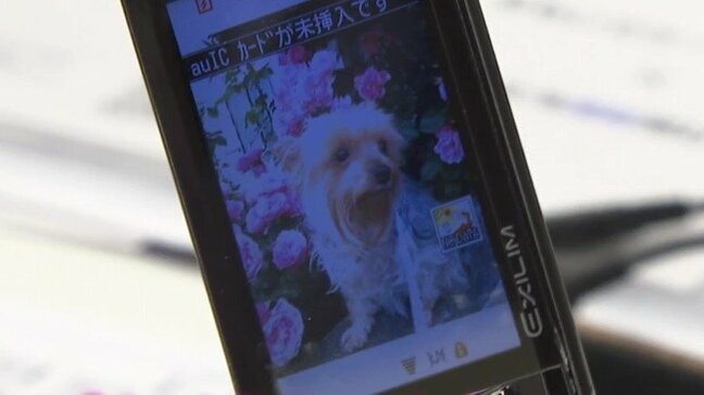 「おもいでケータイ再起動」眠っていたガラケーが復活！愛犬との再会に涙　10年以上前の家族の写真もよみがえる|TBS NEWS DIG