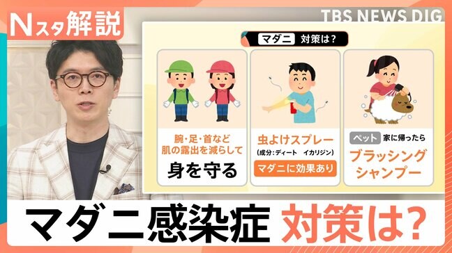 感染拡大の要因は“ペット”と“高温”？マダニが媒介「SFTS=重症熱性血小板減少症候群」とは【Nスタ解説】|TBS NEWS DIG