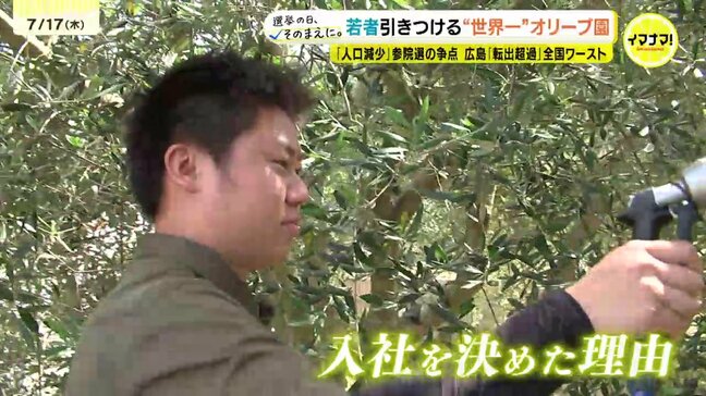 「全国最多の転出超過」広島でナゼ？世界一のオリーブ園に若者が続々　一方で本音も「補助金などプラス面を」「チェーン店が少ない」島の20代移住者が参院選候補者に求めること|TBS NEWS DIG