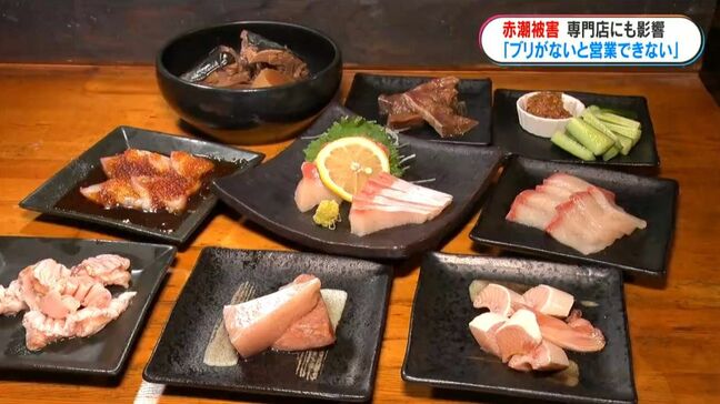 長島町の赤潮被害　ブリ専門の飲食店にも影響広がる「ものがないことには営業できない…」　鹿児島|TBS NEWS DIG