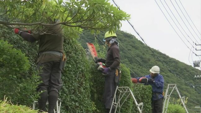 深刻な担い手不足…“造園業”に携わる若手造園技能者に、ベテランが熟練の技伝授|TBS NEWS DIG