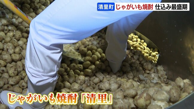 マチの特産「じゃがいも焼酎」の仕込みが最盛期　熟成後、琥珀色で華やかな味わいの焼酎に　北海道清里町|TBS NEWS DIG