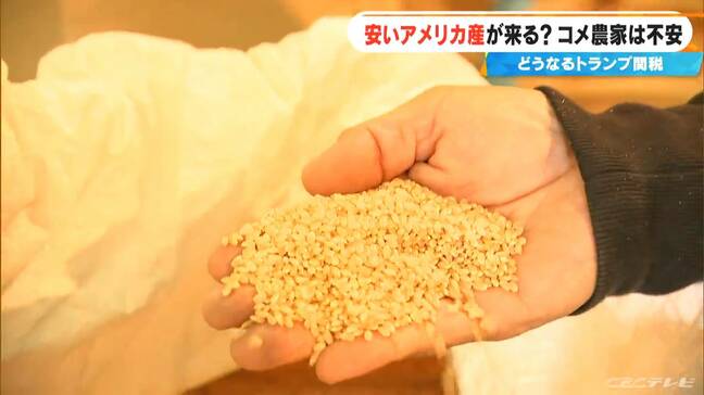 ｢めちゃめちゃ不安…｣農家は悲鳴 例年にないコメ不足に追い打ちをかける“トランプ関税” 安いアメリカ産のコメが来る？|TBS NEWS DIG