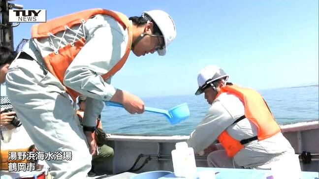 夏の楽しみ“海水浴”！ 安全にシーズンを迎えるため、海水浴場で水質調査（山形）|TBS NEWS DIG