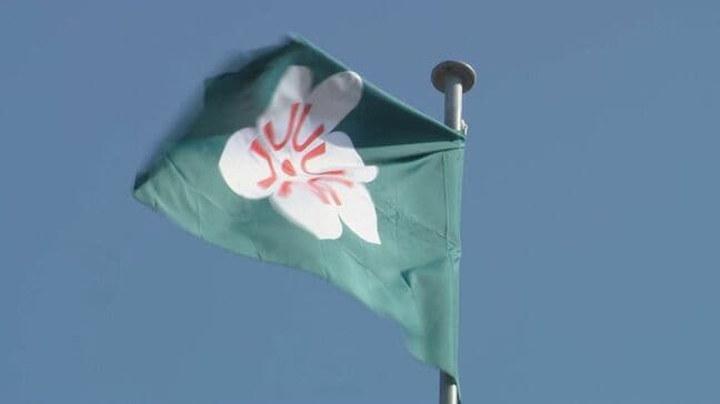 はしか患者が「鳥栖プレミアム・アウトレット」を利用　佐賀県が施設名と利用時間を公表「症状出た場合は相談を」|TBS NEWS DIG