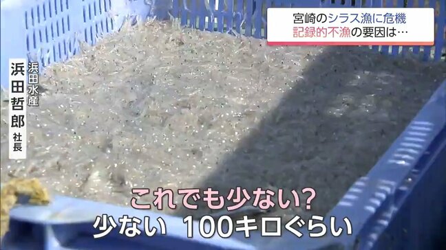 ちりめんじゃこ原料のシラス記録的不漁で廃業相次ぐ「あすは我が身かなと思っている」|TBS NEWS DIG