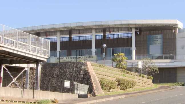 総額2000億円を超える資金を集めるも分配金の支払いが遅れている「みんなで大家さん」問題　北九州地区の「バナナ生産事業」の実態は|TBS NEWS DIG