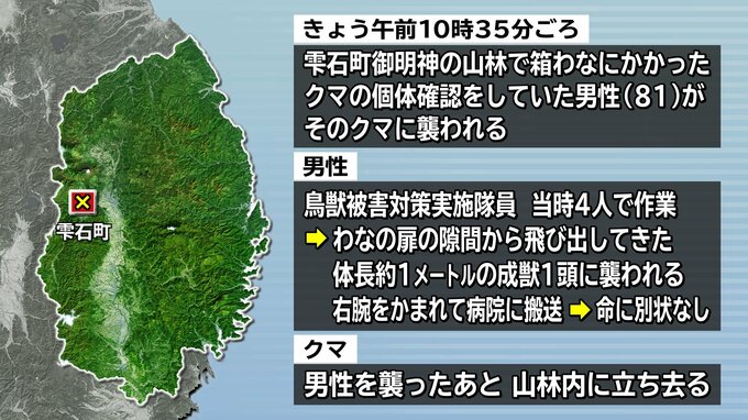 クマの個体を確認しようとした80代男性が襲われけが　わなの扉を開けた際に隙間からクマが飛び出す　岩手・雫石町|TBS NEWS DIG