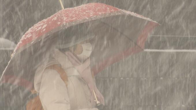 「きょうしばれでらもんね…。朝起きて雪降ればうんざりするんずな」大雪警報の津軽・上北…　街中でも猛吹雪でホワイトアウト状態　交通機関も乱れ、空の便にも影響が…|TBS NEWS DIG