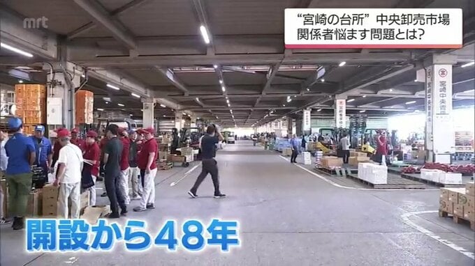 ”市場離れ”を招く老朽化と温暖化 再整備は13年後で関係者ら悲鳴　|　MRTニュース ｜ ＭＲＴ宮崎放送