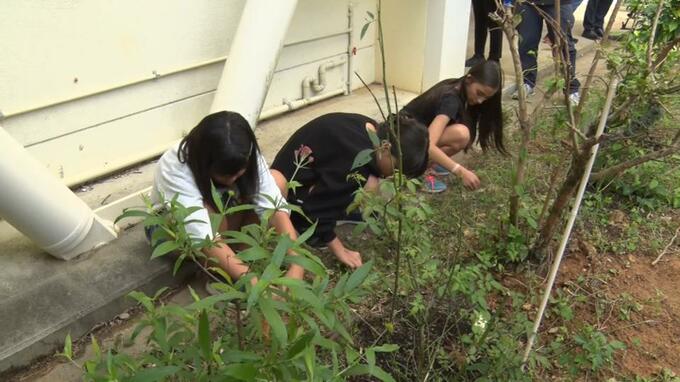 小学生が「ビオトープ」づくり通して地域の生態系を学ぶ　生活用品メーカーのライオンが助成金|TBS NEWS DIG