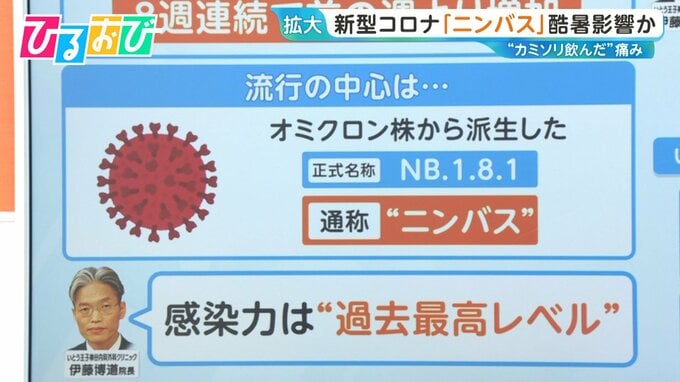 “カミソリを飲んだ”痛み…新型コロナ「ニンバス」が流行 酷暑も影響か　受診のタイミングは？【ひるおび】|TBS NEWS DIG