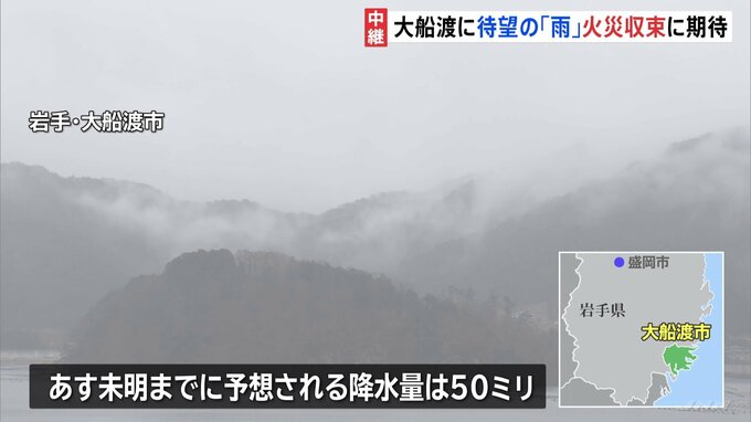 待望の雨も鎮圧に至らず　岩手県大船渡市の山林火災　発生から1週間|TBS NEWS DIG