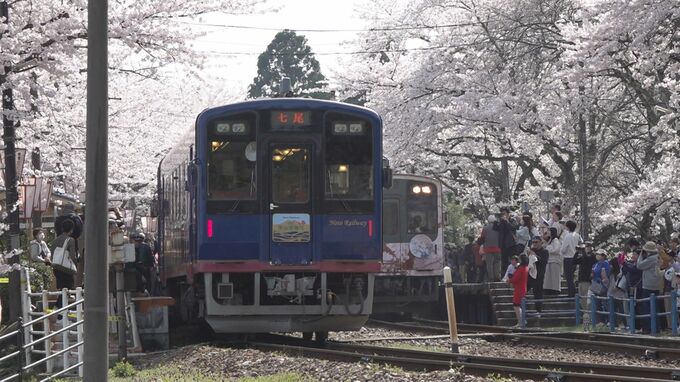 震災から2度目の満開   石川・穴水の「能登さくら駅」 花見客で大にぎわい　|　石川県のニュース｜MRO北陸放送