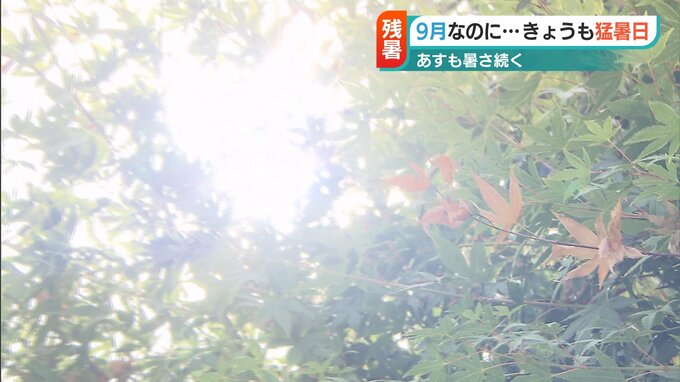 「真夏みたいな感じで9月とは思えない」9月も“猛暑日”で始まる新潟県「16日連続の熱中症警戒アラートは過去最長」|TBS NEWS DIG