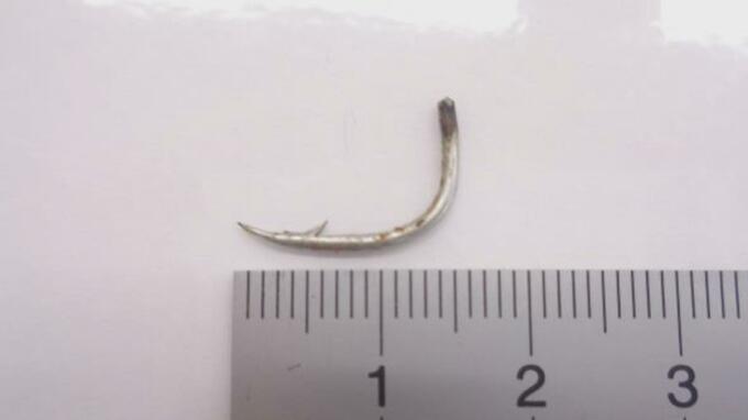 小学校給食に釣り針？「さばの煮つけ」から金属片　児童が発見【長崎】　|　長崎のニュース | 天気 | NBC長崎放送