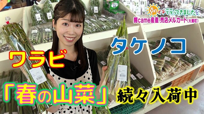 ワラビ、タケノコ、ウド…“春の山菜”が豊富！午前中で売り切れるほど人気の伝統野菜や焼きおにぎりも【朝イチ行ってきました】青森・大鰐町の産直　|　青森のニュース│ATV NEWS│青森テレビ