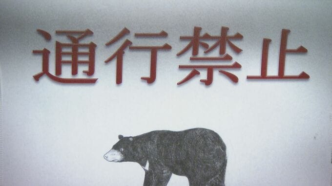 去年1件→ことし19件に激増　県内のクマの目撃情報が過去最多のペース　三重県が注意呼びかけ　|　名古屋・愛知・岐阜・三重のニュース【CBC news】 | CBC web